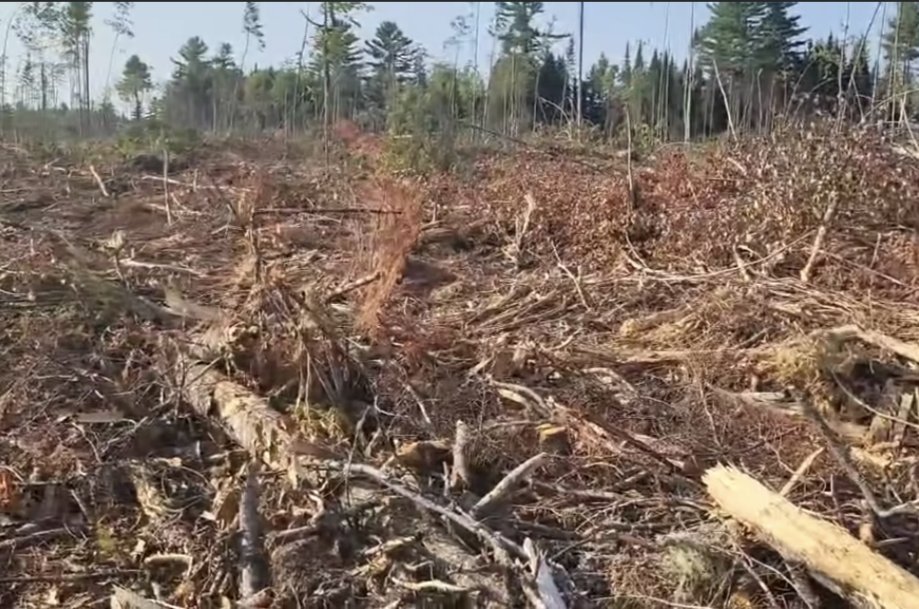 TheUnMessyTruth's tweet photo. @JeffEvely And why are same ones mad at us for walking not mad at the Government for leaving their mess behind. Our sneakers won't set this a blaze but their arsonist will! https://t.co/iUwn5BDpa7