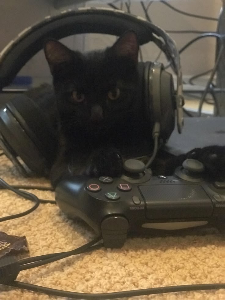mellow6pider's tweet photo. If you gonna work, study or play a game, u should listen to this playlist 
https://t.co/azsazTDAzP https://t.co/UXNnBrdlPL