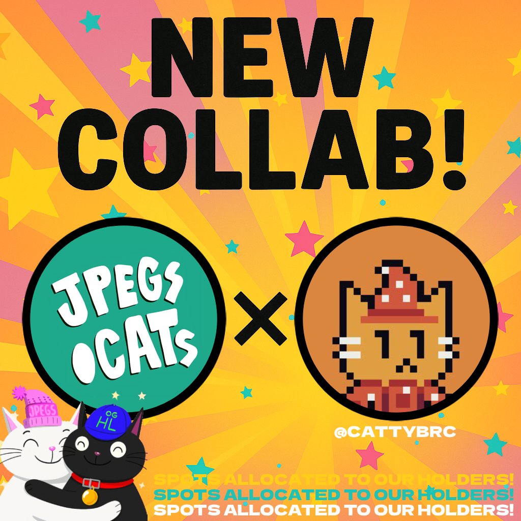 jpegs.cats tweet media