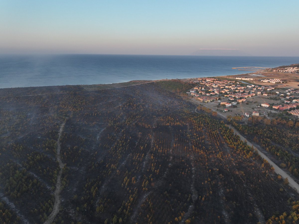 🔥🌲 Edirne’de yanacak ağaç kalmayınca yangın kontrol altında!