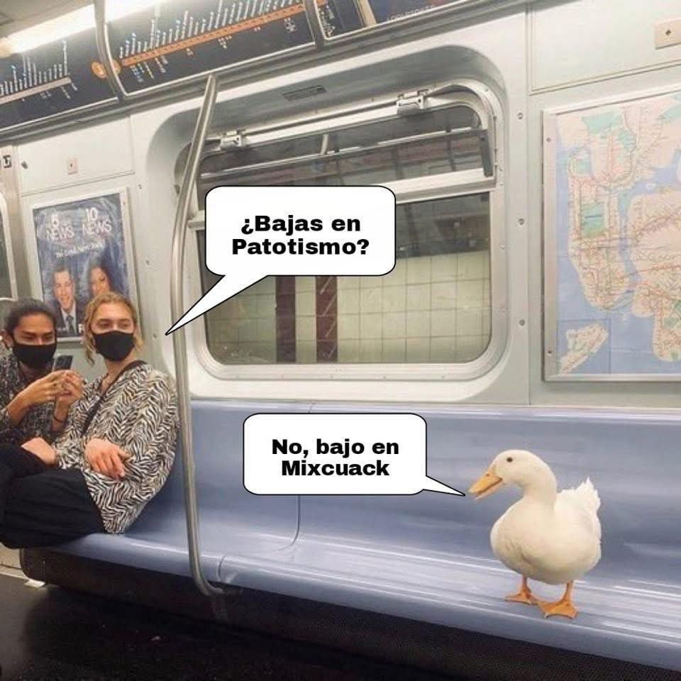 Ziggy Starbucks ⚡️(Emilio Calderón) (@emiliocadernmne) on Twitter photo 