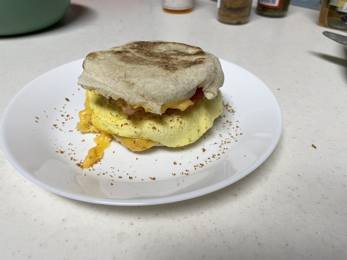 Hihihi. Kid made smol breffis sammich. Says was easier having tray brought in hospital, but is better at home with doggies!
