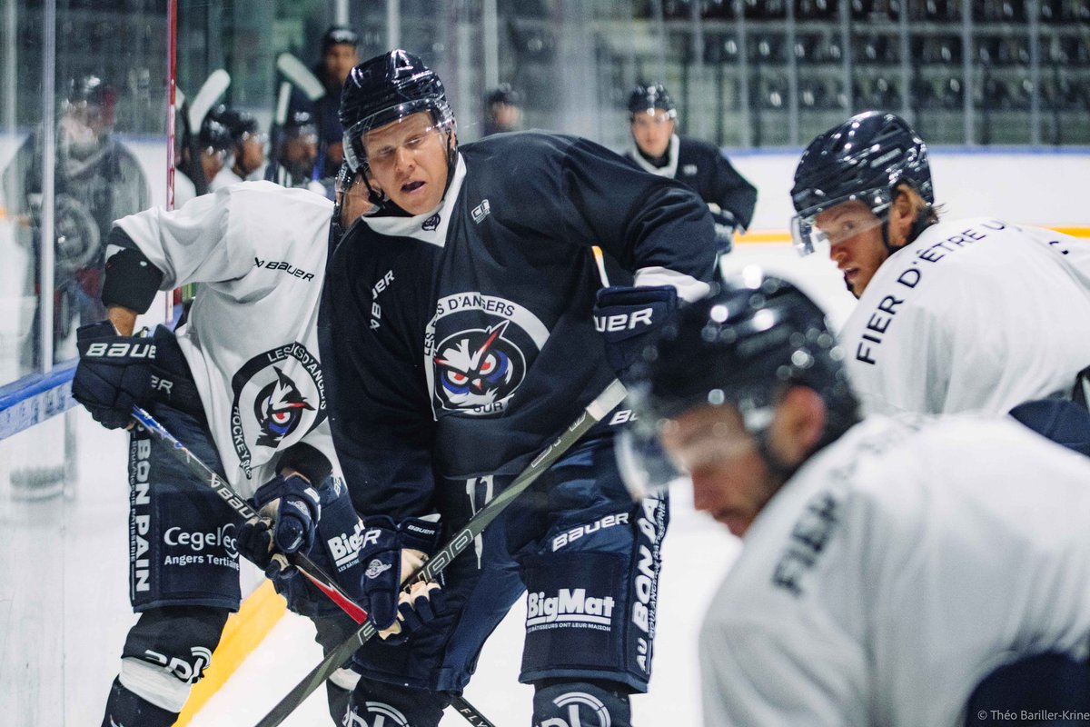 Les Ducs d'Angers tweet media