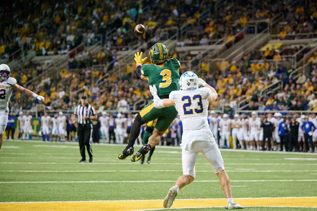 Bison 1660 tweet media