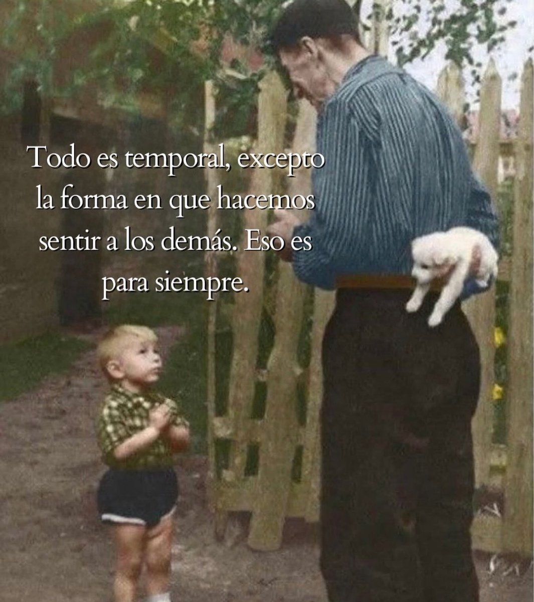 culturaliteral1's tweet image. 