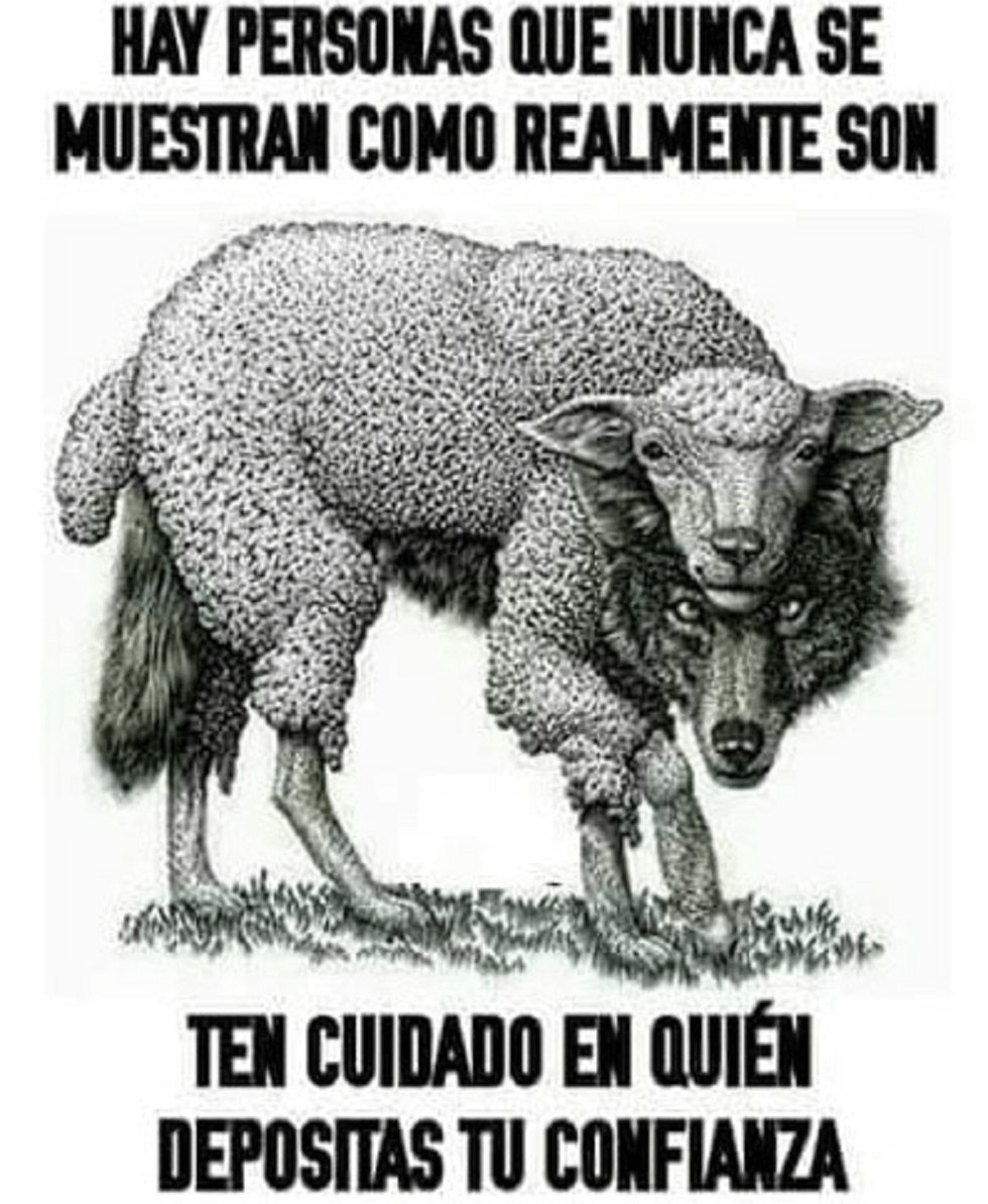iptvcl's tweet photo. #JaraMiente #JaraEnPrimeraVuelta  @GobiernodeChile https://t.co/TkSSjPNy1H