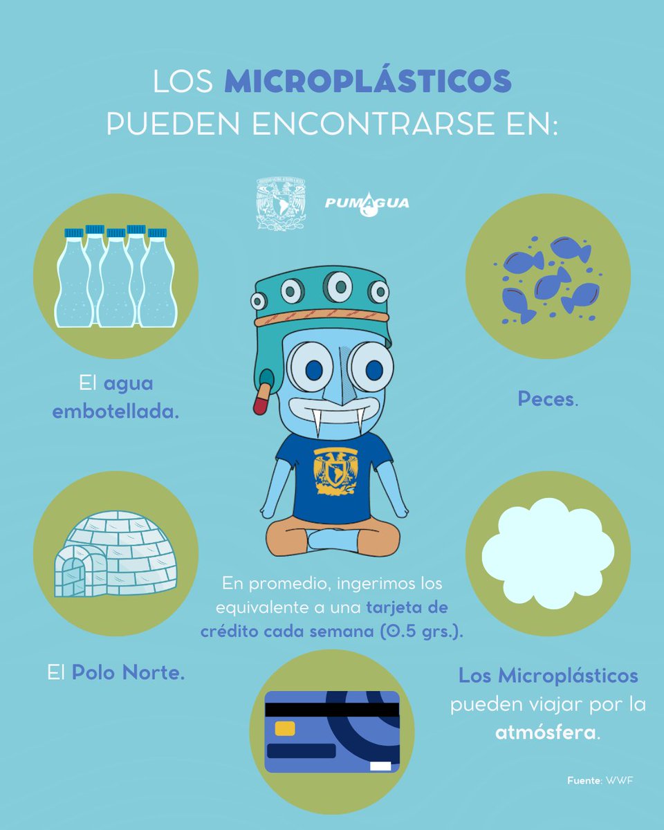 PUMAGUA's tweet image. 🚨 Los #microplásticos son partículas de #plástico menores a 5mm o incluso pueden ser tan pequeños que son imperceptibles.😱

Son producto de la degradación de los #residuos plásticos. Los plásticos de tamaño nanométrico pueden pasar a través de las membranas celulares. ⚠️ 💧
