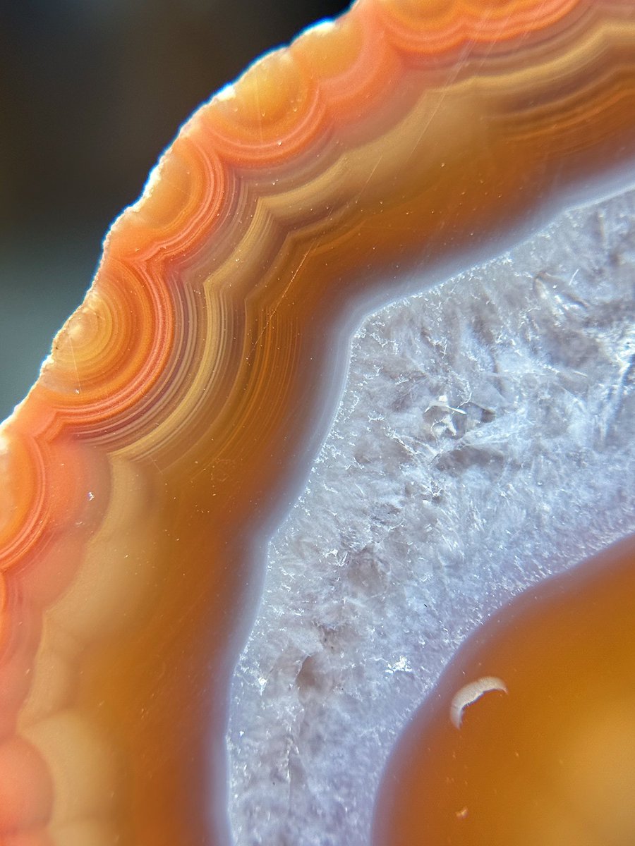 artbyjacstudio's tweet image. Agate macros &amp;gt;&amp;gt;&amp;gt;