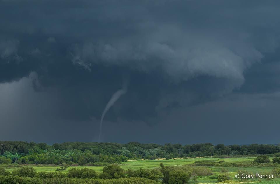 Cory Penner tweet media