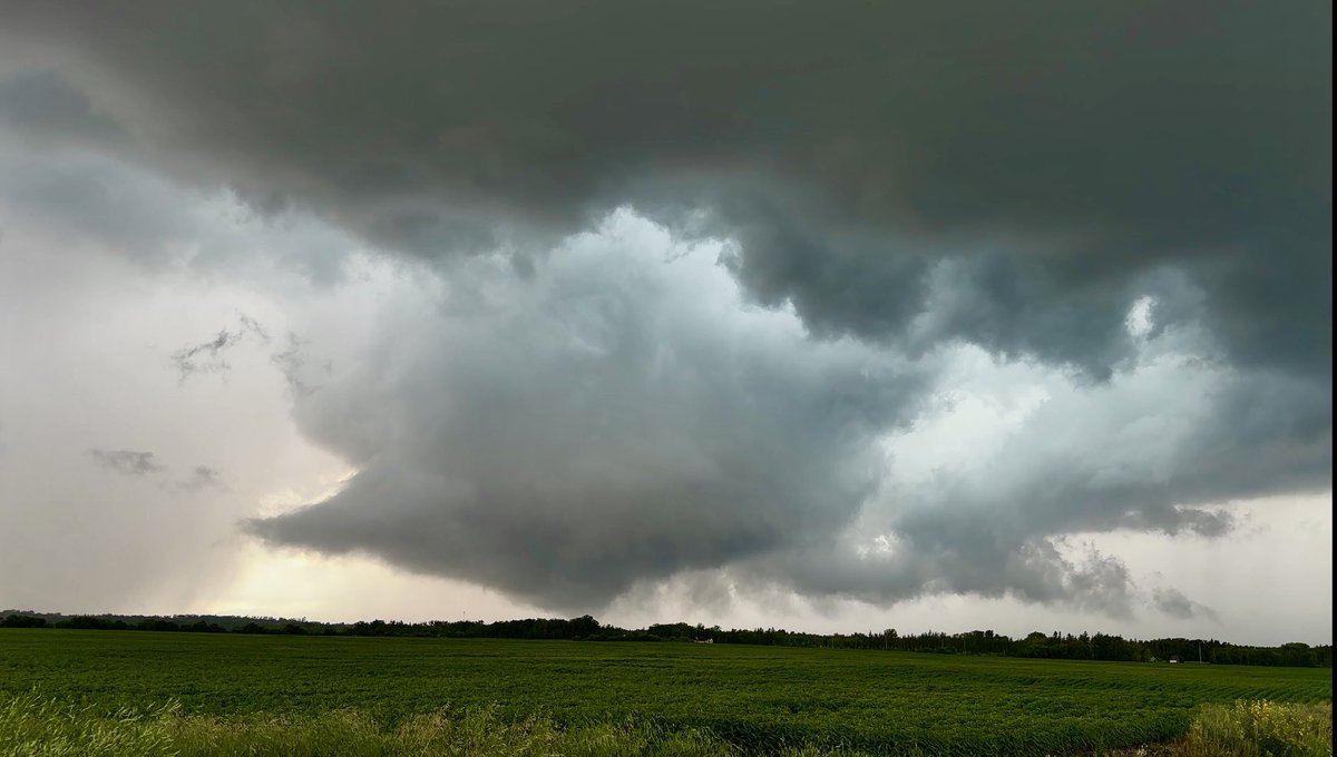 Cory Penner tweet media