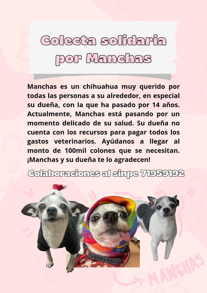 Ayuda urgente para Manchas 
Necesita un cardiólogo, medicamentos, exámenes de sangre y seguimiento, pero no cuento con los recursos para cubrir  lo que requiere.

Si podés colaborar, cualquier aporte, por pequeño que sea, nos ayuda muchísimo
Sinpe: 71959192

Gracias de corazón🐾