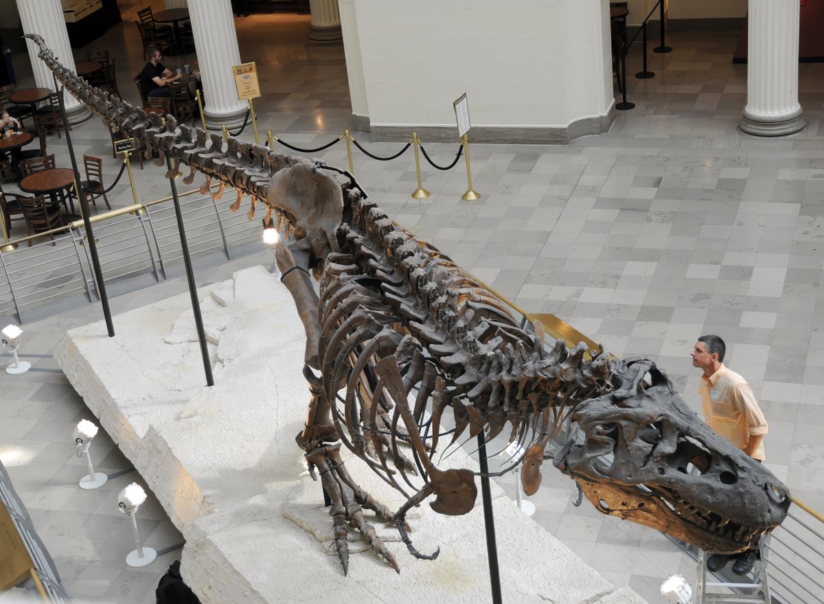 WitmerLab tweet media