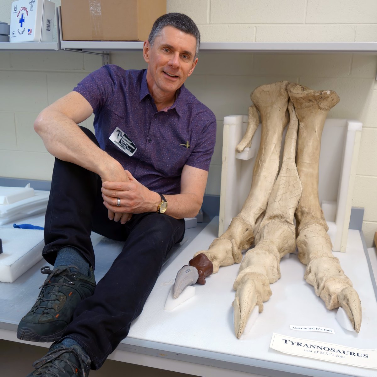 WitmerLab tweet media