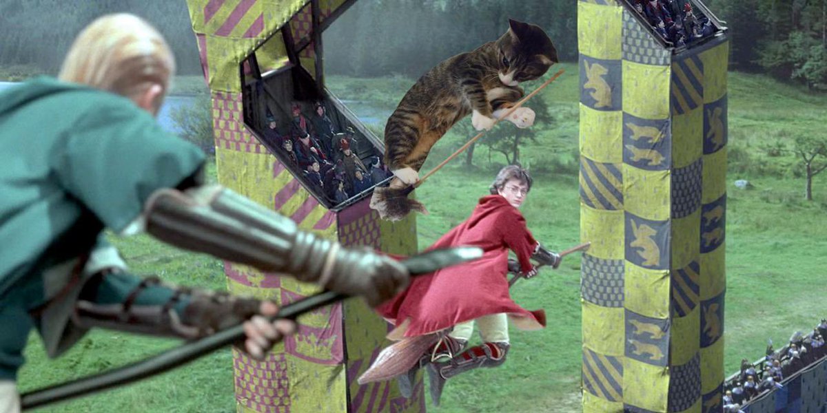 10 points for gryffindor