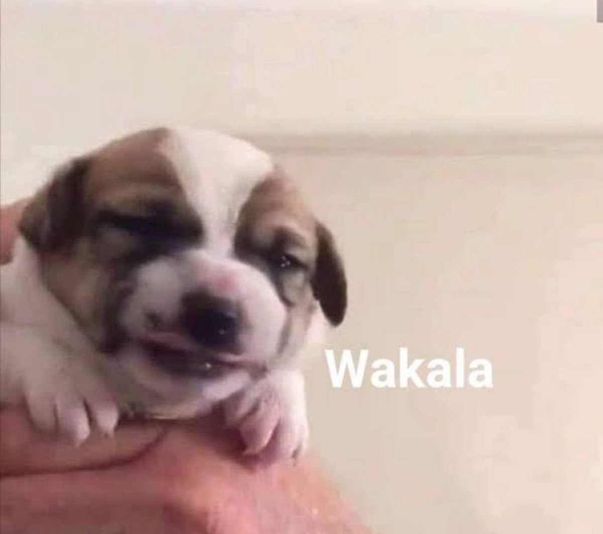 Ese momento traumático en el que te das cuenta que te equivocaste de cepillo de dientes