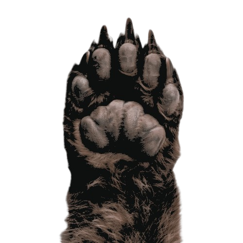 𐌁𝗃𝗈̈𝗋𝗇 tweet media