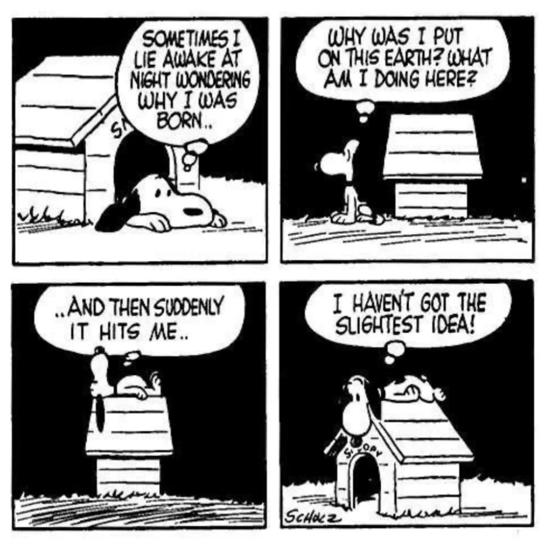 ぬーぴぃ様❤️完成致しました SNOOPY - Search / X