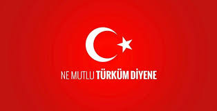•Milliyetçiyim ama MHP'li değilim.
•Atatürkçüyüm ama CHP'li değilim.
•Mevcut hükümete muhalifim.
•Mevcut muhalefete de muhalifim.
•Mete Han'dan Bilge Kağan'a Alparslan'dan Fatih'e atalarımın izindeyim.
•İttihat ve Terakki ruhu ile Başbuğ Atatürk'ün önderliğindeyim.