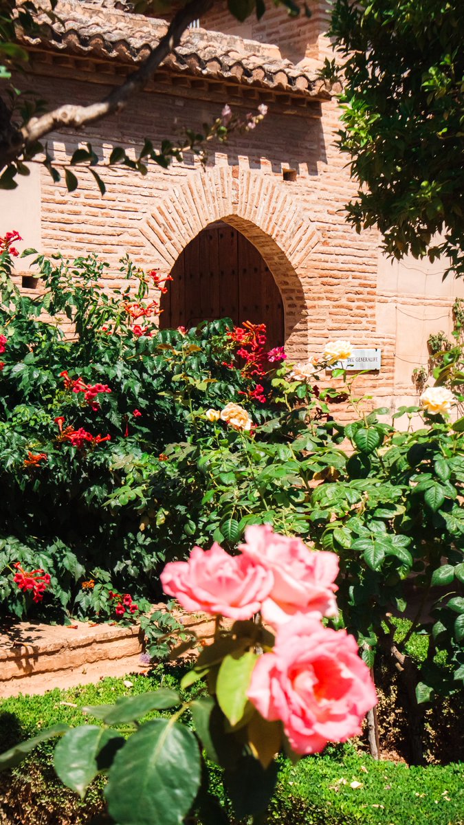 أكرم tweet media