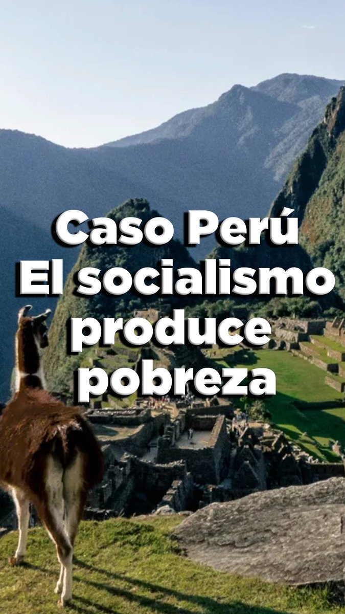Pedro Pablo Fernández tweet media