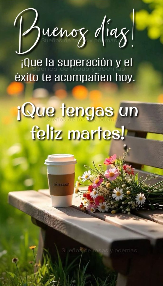 Buenos, bonitos y gorditos, desveladosos, agradecidosos, ajetreadosos, lluviosos, muy cafesosos, en shockosos, tristosos y guapetosos días, feliz martes❗🙏🏻👼🏼🫶🏻🍀🌻🌤️ ☕🚗🌄🌇🏕🌈💻💰📚📒🎼⏰🧿♾️📿💎🎈🎀❤💛💚