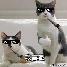 n1styao's tweet photo. @kiki950320 https://t.co/ahWbSy8mYi