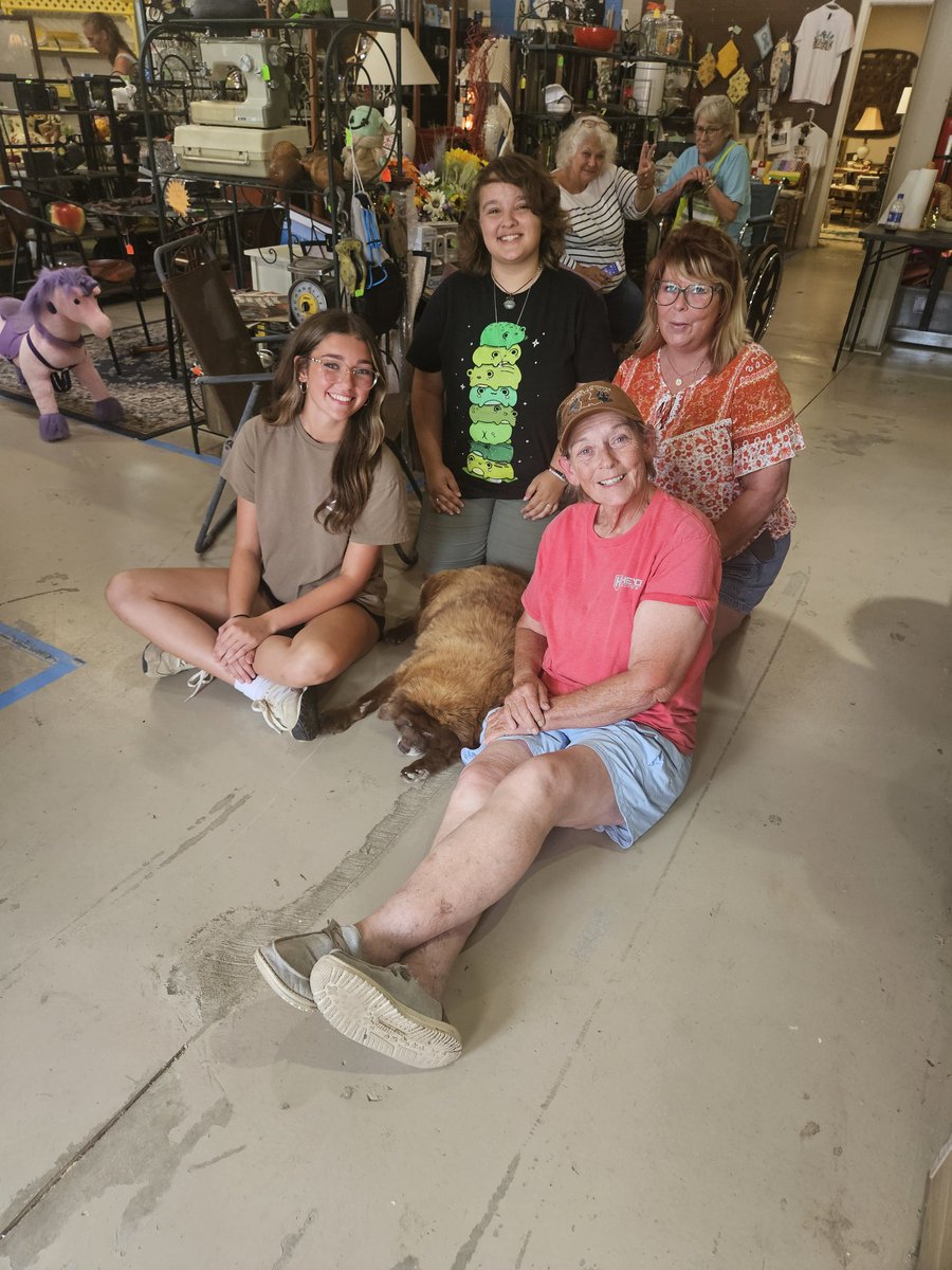 teddythriftdog's tweet photo. My moms birthday 
Happy birthday ( Teresa harrell)
#teddythethriftdog 
##thriftyteddy 
#teddy
#birthday
#greenvillenc 
#aydennc https://t.co/6Kq2VeVbOs