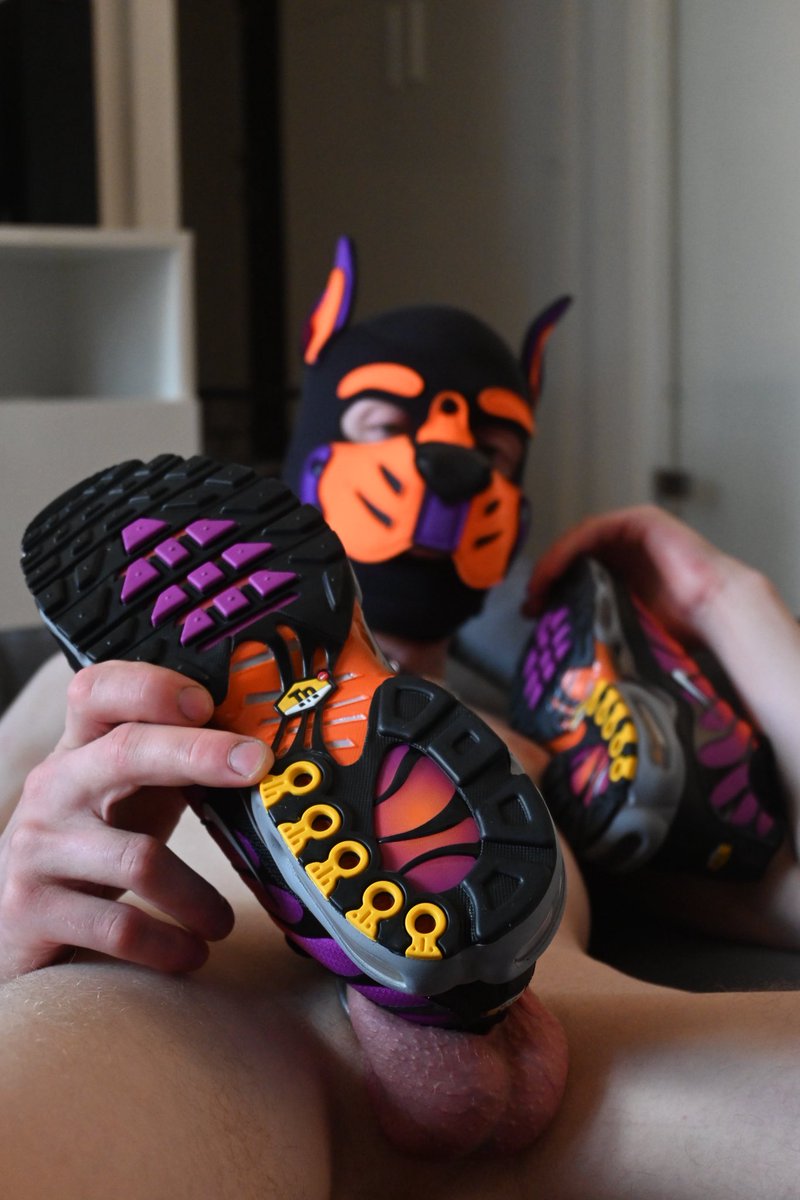 Seth_pup tweet media