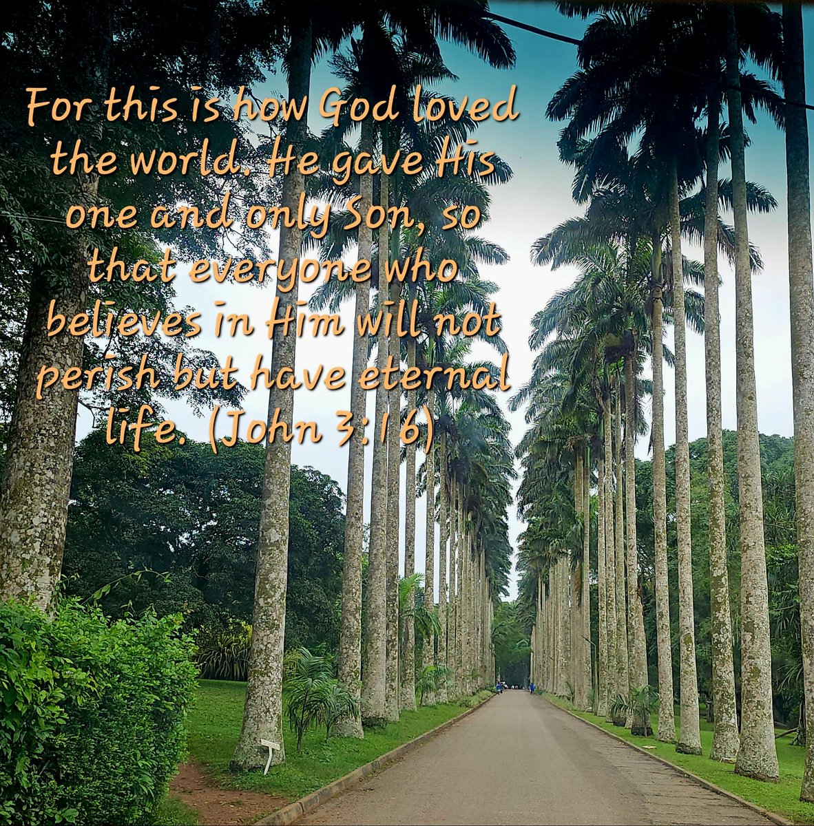 AfuaParry's tweet photo. John 3:16 - Salvation is for everyone who believes in Jesus Christ! https://t.co/2CH7Uy1YRJ