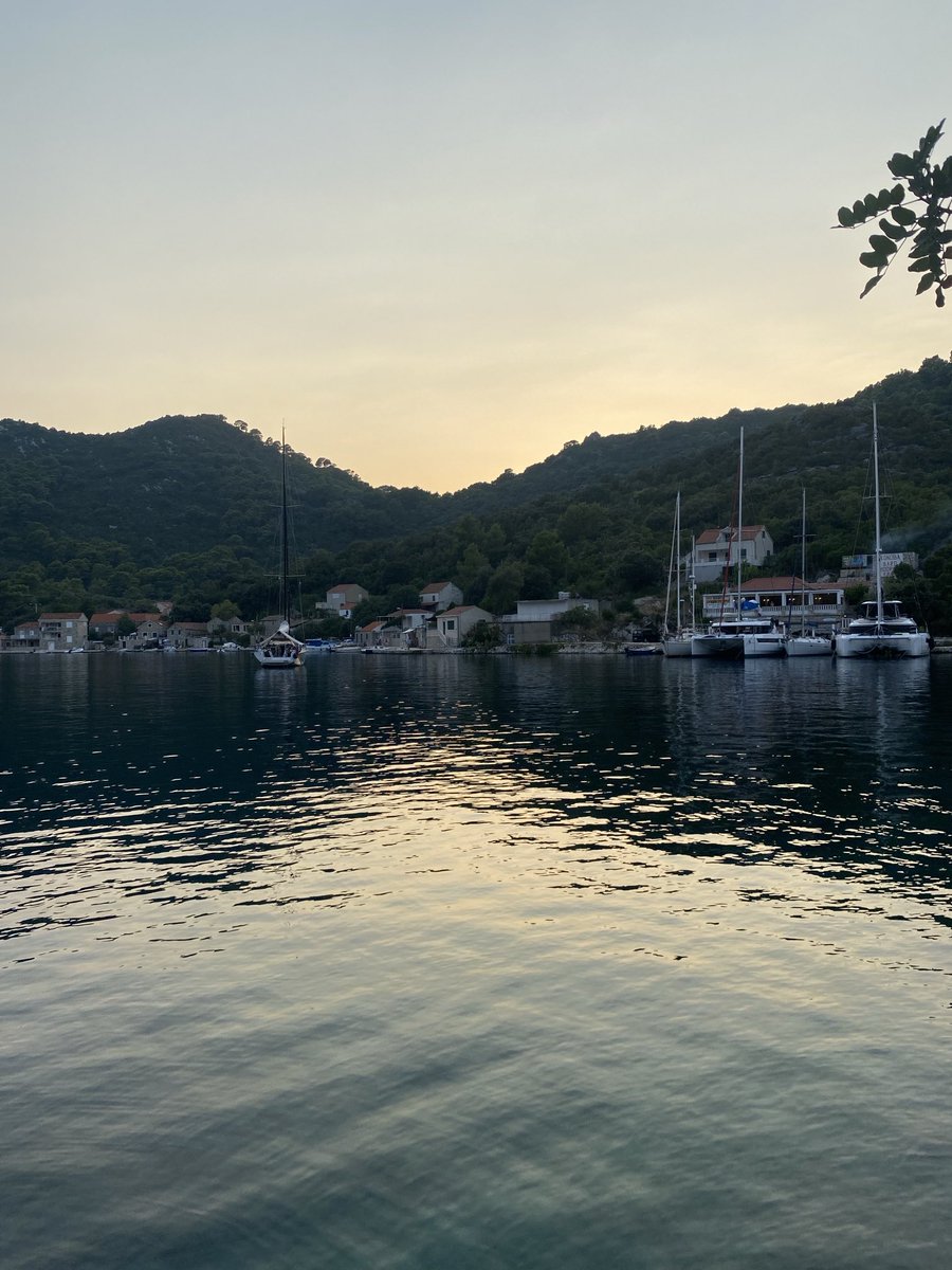 lilycogan tweet media