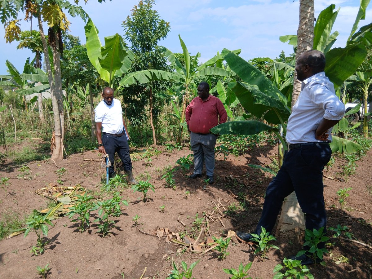 The team is working with Senior Agricultural Engineers and officers from the respective District Production Offices to assess

❇️ functionality of irrigation systems
❇️  co-funding arrangements for farmers 
❇️ extension support for enrolled farmers and
❇️ farmer field schools