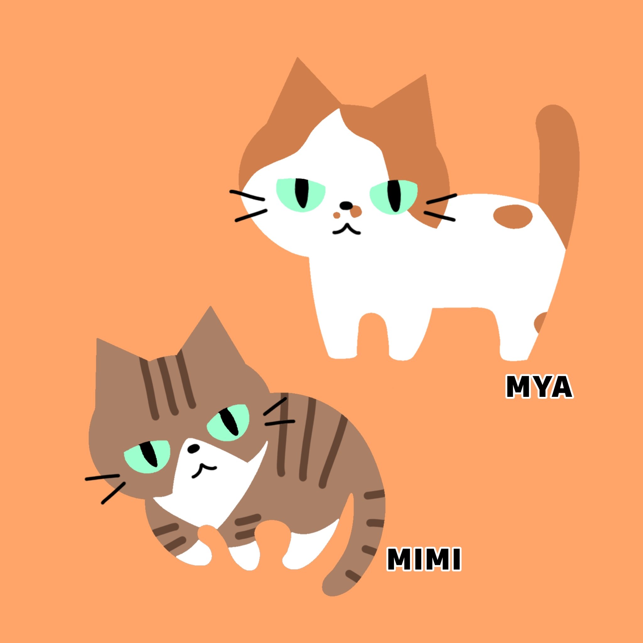 クロネコニャーゴー The boss cat shows his dignity even when facing