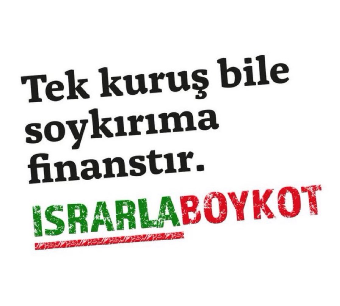 Esra Elönü tweet media