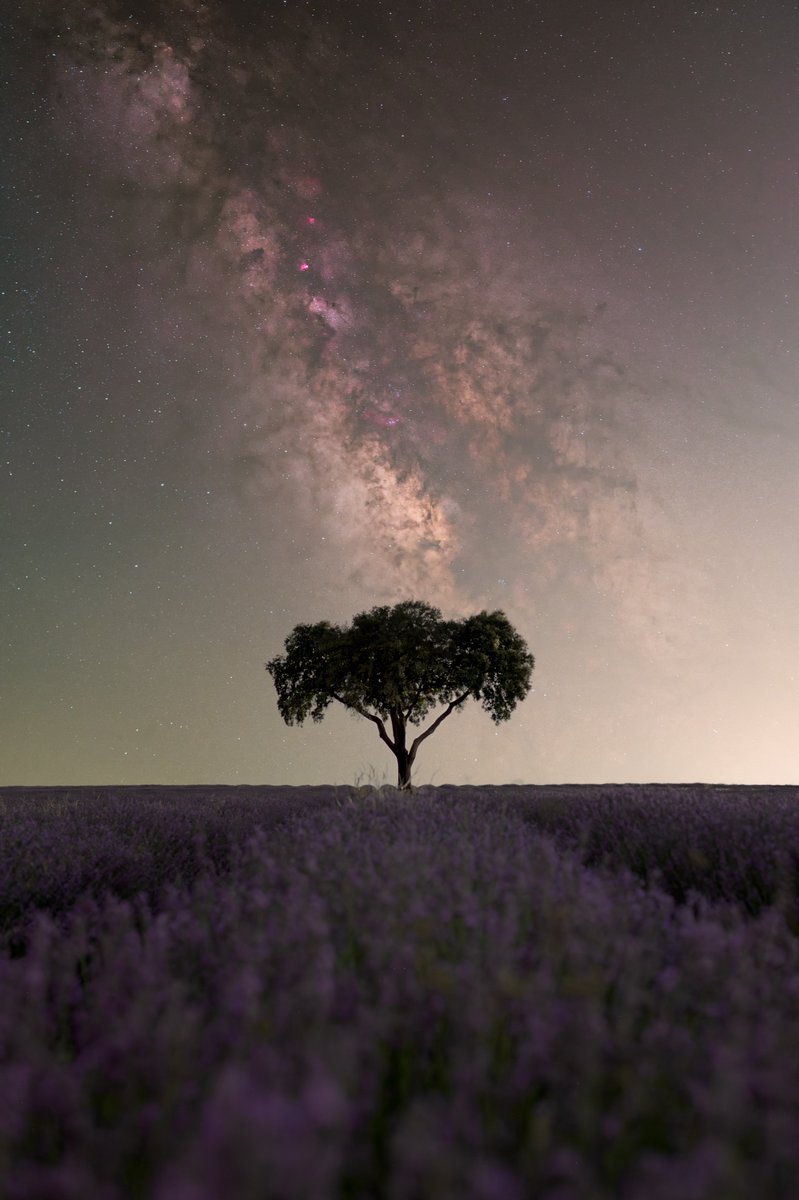 Emilio (@piensaenpixel) on Twitter photo Brihuega, 🪻y 🌌 Brihuega, 🪻y 🌌