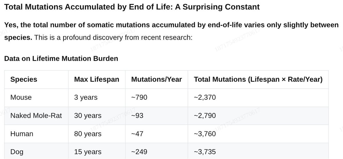 Tested GLM-4.5 on this and it gave me the table below.

Once your cells have accumulated ~thousands of somatic mutations from cell division copying errors you might be toast, regardless of how many situps or longevity cleanses you've done.  

AI: 

Convergent Total Mutations: