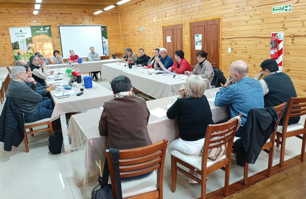 apicofom tweet media