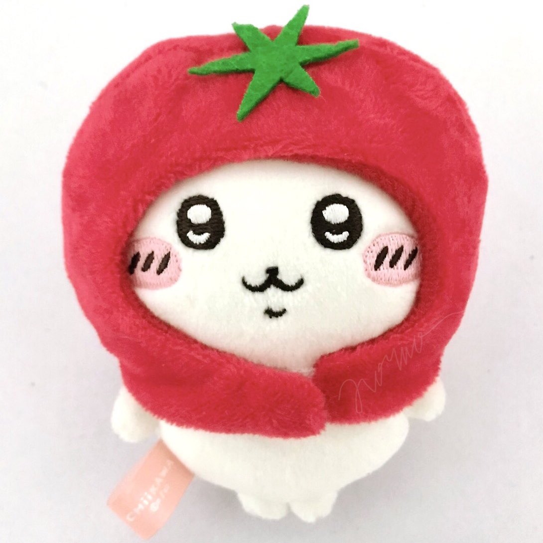ziorno's tweet photo. ‧₊ ᵎᵎ 🍅 ⋅ ˚✮ https://t.co/kSrBH2QqHN