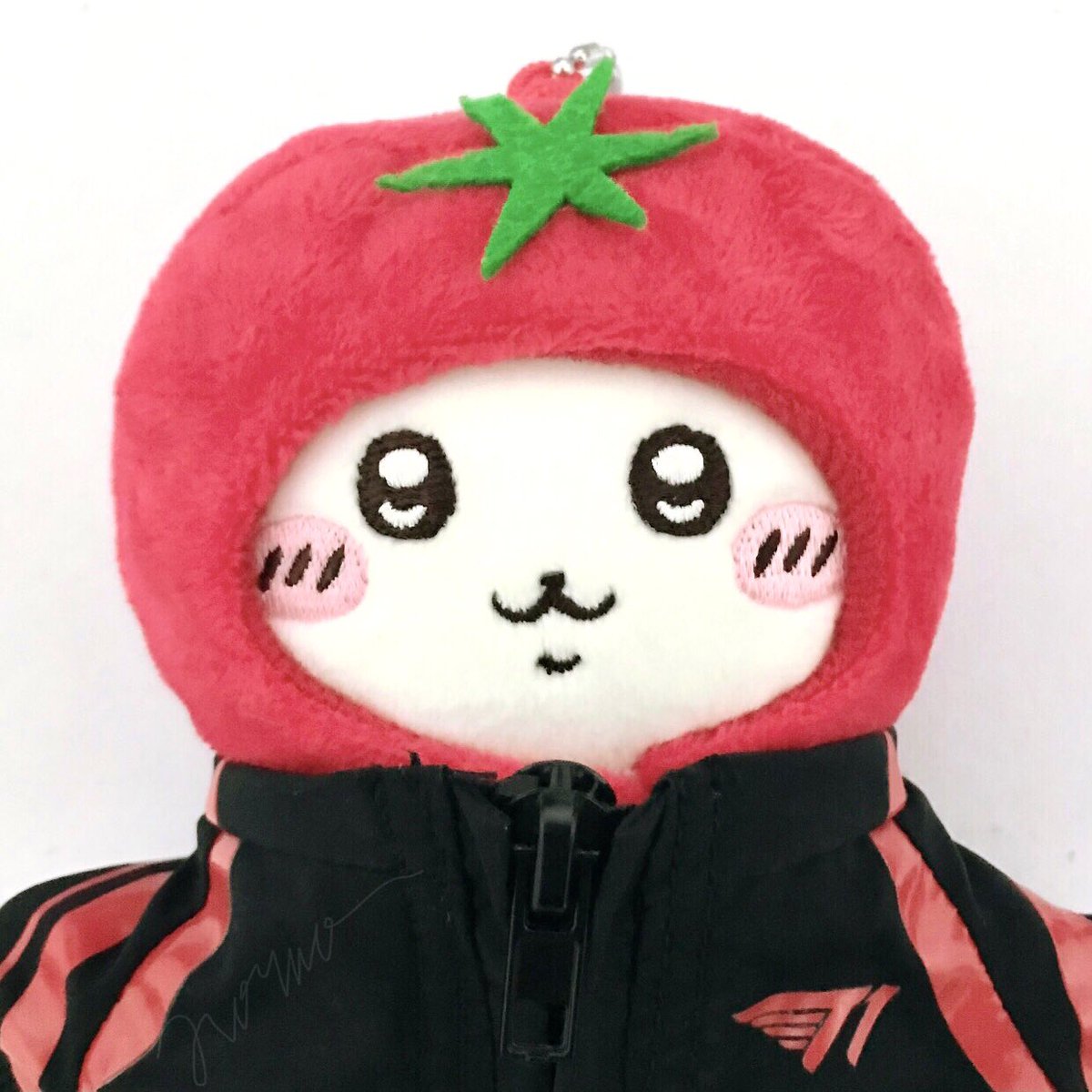 ziorno's tweet photo. ‧₊ ᵎᵎ 🍅 ⋅ ˚✮ https://t.co/kSrBH2QqHN