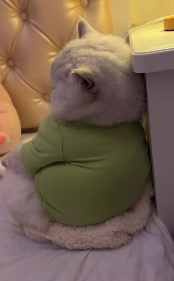 nekocatts's tweet photo. Don't talk to me https://t.co/QjFYzUcH8u