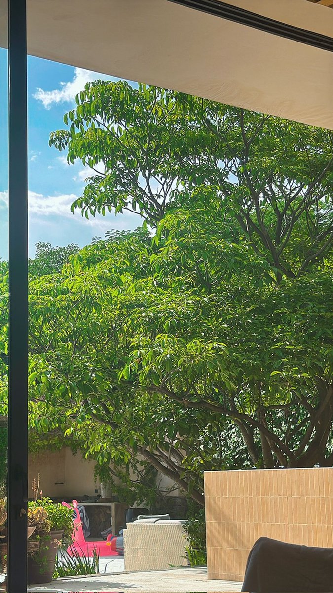 Poncho en instagram stories