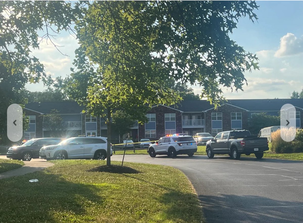 BREAKING: Trump Considers Carmel Takeover

CARMEL—Citing a spike in violence, Pres. Trump is contemplating a takeover of Carmel. “The streets are violent, everyone says. Big violence near the roundabouts. Much worse crime than fake news Epstein.” Trump said. 
#CarmelIN #Indiana