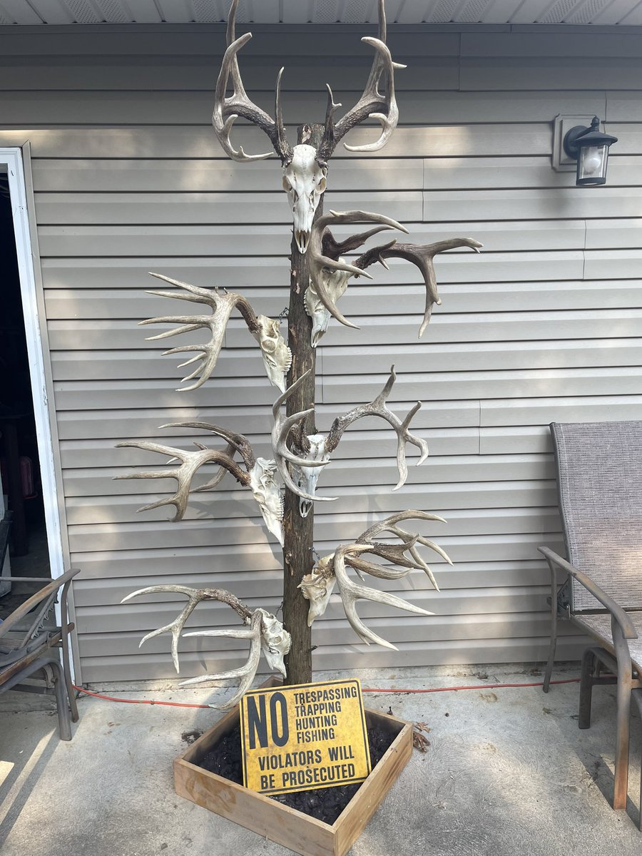 ChadWard633's tweet photo. Made a deal to hang the things. Deer season needs to get here https://t.co/RO5Ktdn0H0