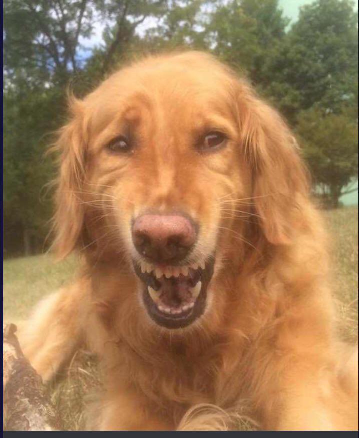 sativaisbetter tweet media