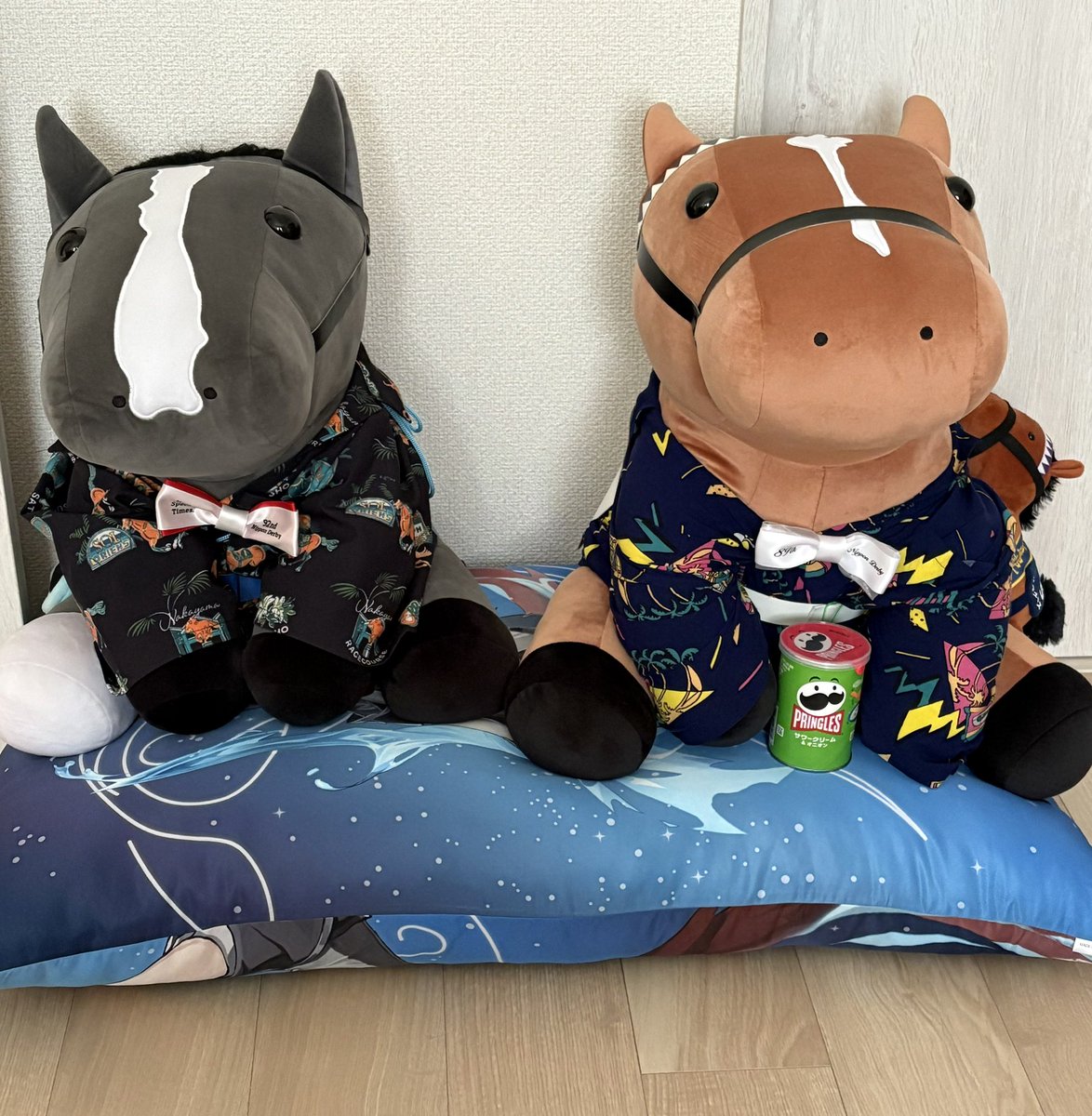 ✨もっち✨ 初心者もちお（もっちー）🐶👹 on X: 