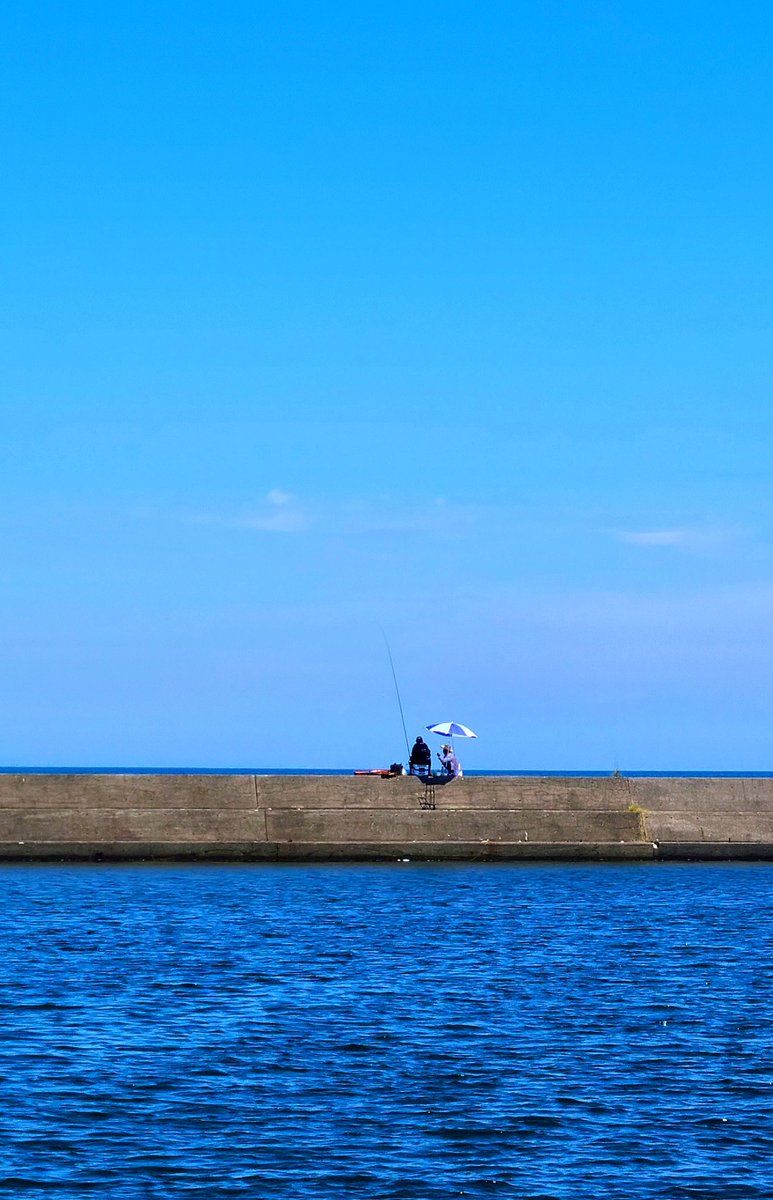 it_is_rusty's tweet image. つれない時間も楽しんで。