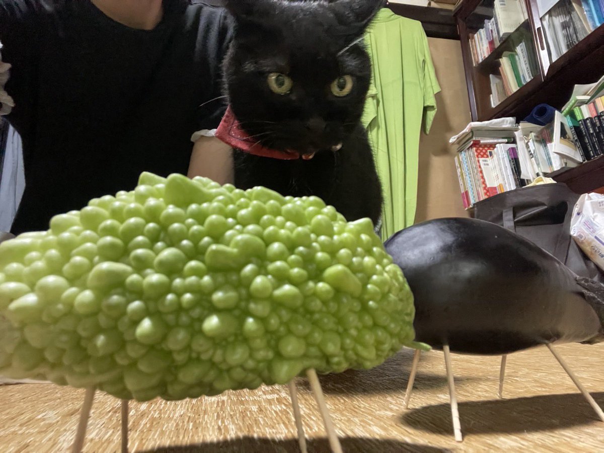 …お前コレ…

ご先祖さんケツ割れる案件やぞ…