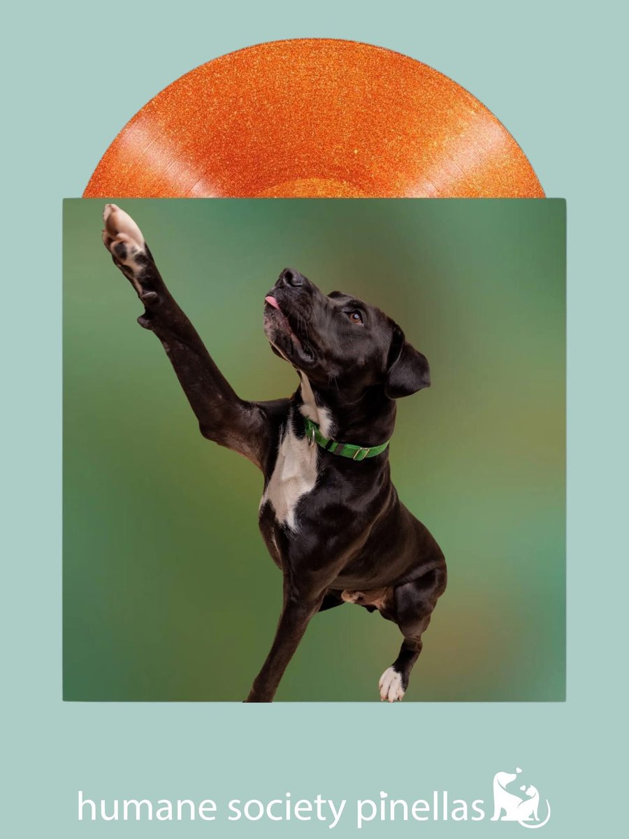 Humane Society of Pinellas tweet media