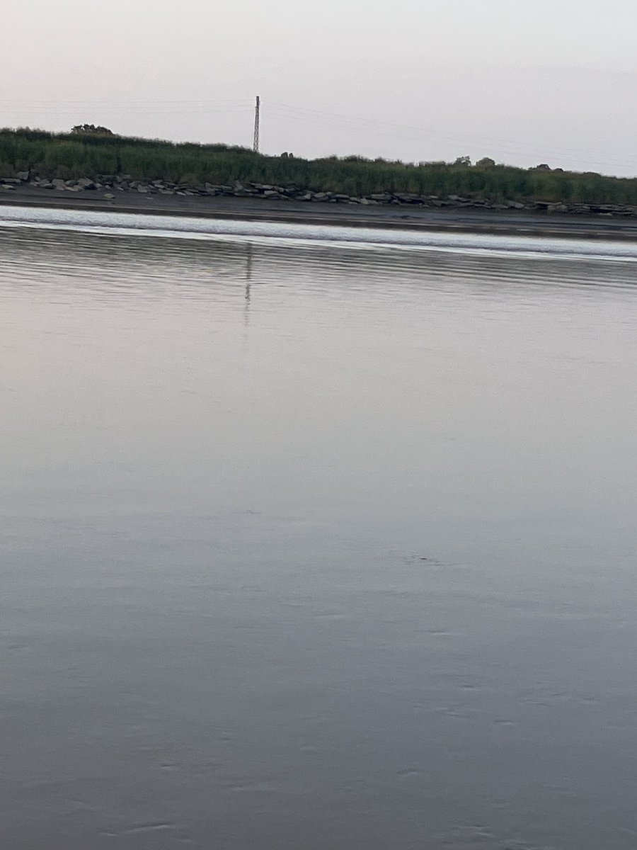 Matt Hart tweet media