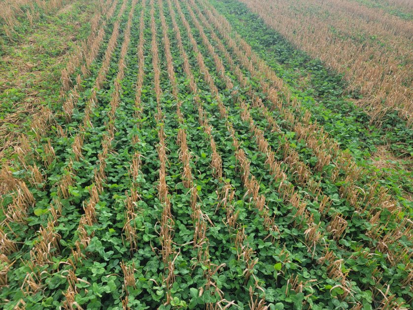 Shawn Schill 🇨🇦🇨🇦 tweet media