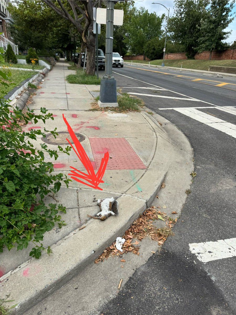 Eric Miller tweet media